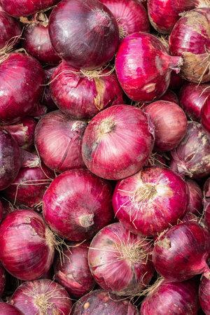 fresh organic onion from farm close up from different angleの写真素材