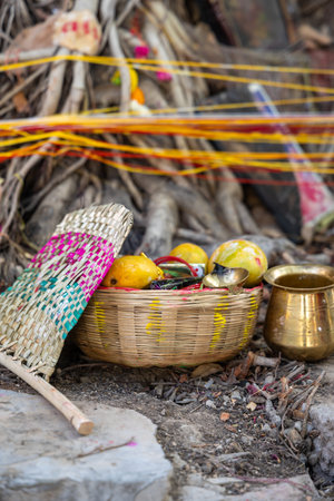 worships of holy banyan tree with offerings and bamboo hand fan at day on the occasion of Banyan tree worship festival, (Vat Savitri Puja) India.の写真素材