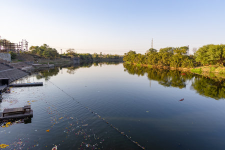river with green forest at shore at morning from flat angleの写真素材