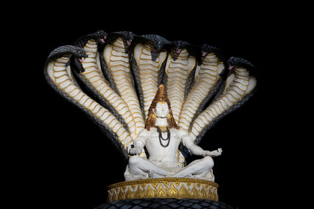 idol of hindu holy god lord shiva at outdoor from different angle image is taken at mahakaleshwar mahakal temple corridor ujjain madhya pradesh india.の写真素材