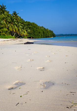 human footprints on white sandy beach by the sea at morning