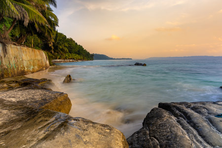 pristine rocky sea shore with palm tree and bright sunset orange sky at morning from flat angleの写真素材