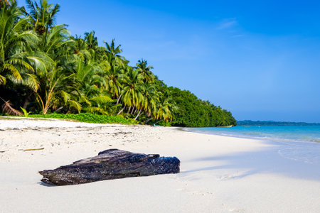 isolated pristine white sand beach with rolling waves and bright blue sky image is taken at Radhanagar Beach at Havelock Island in the Andaman and Nicobar Islands.の写真素材