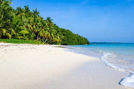 isolated pristine white sand beach with rolling waves and bright blue sky image is taken at Radhanagar Beach at Havelock Island in the Andaman and Nicobar Islands.の写真素材