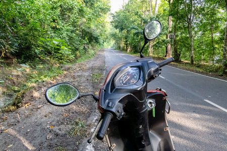 scooty two wheeler journey on empty forest road with lush green forests at morningの写真素材