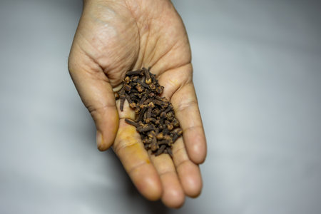 fresh raw cloves in palm with blurred background studio shotの写真素材