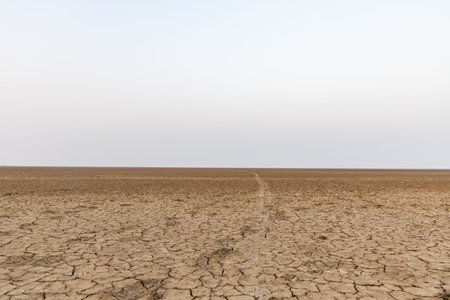 dry cracked farm fields with bright sky at morningの写真素材