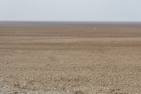 dry cracked farm fields with bright sky at morningの写真素材