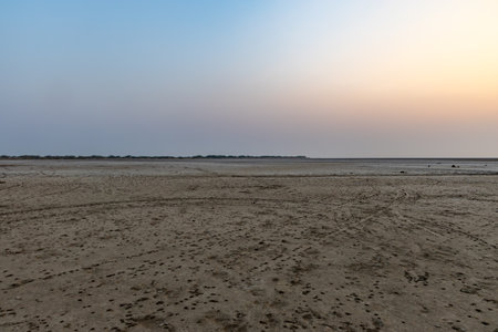 dry farm fields with sunrise bright orange sky at morningの写真素材