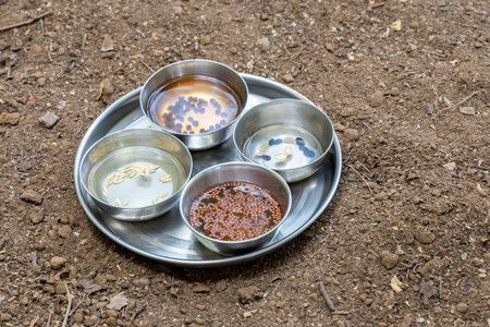 different seeds variety ready for planting kept in small bowl at outdoorの写真素材