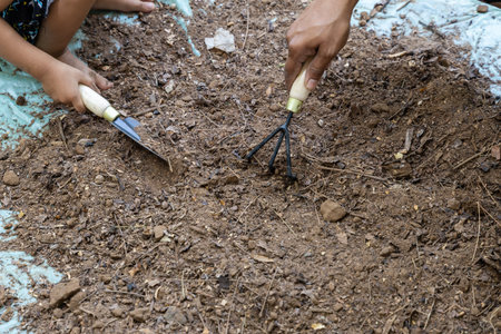 hands of parent and child cleaning garden soil together at outdoorの写真素材