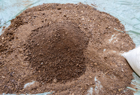 natural soil enhancement using vermi compost with garden soil at outdoorの写真素材