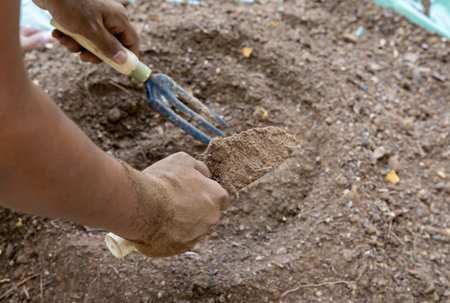 natural soil preparation with hand-mixed organic fertilizer at garden outdoorの写真素材