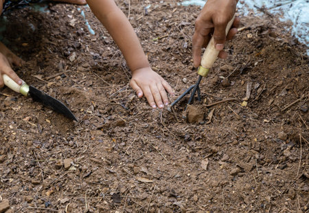 hands of parent and child cleaning garden soil together at outdoorの写真素材
