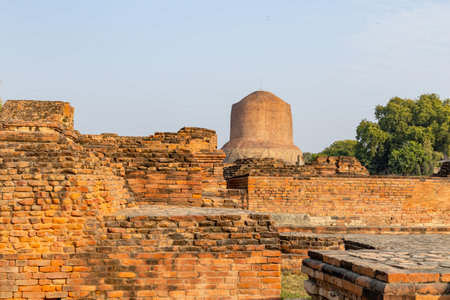 holy sarnath dhamek stupa buddhist monument with clear blue sky in daylight at Sarnath near Varanasi, India, marking the sacred site where Buddha gave his first sermon.の写真素材