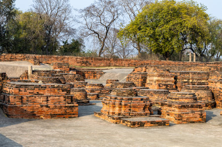 historic buddhist site sarnath with excavated meditation stupa near varanasi at Sarnath near Varanasi, India, marking the sacred site where Buddha gave his first sermon.の写真素材