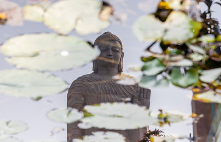 calm pond water reflection of ancient giant buddha statue at day at Sarnath near Varanasi, India.の写真素材