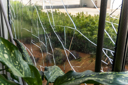 shattered glass window with cracks and greenery outside