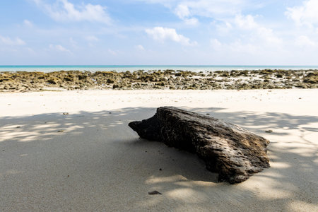 driftwood log resting on sandy tropical beach under blue sky