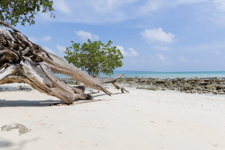peaceful coastal landscape with rocks sand and clear sea