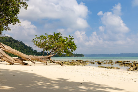 peaceful coastal landscape with rocks sand and clear sea