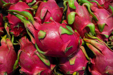 Close up of Dragon fruit covered in full screenの写真素材