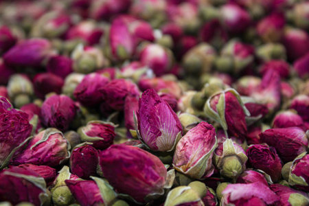 Close up of dried roses covered in full screen