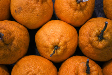 Close up of ugly tangerine covered in full screen.の写真素材