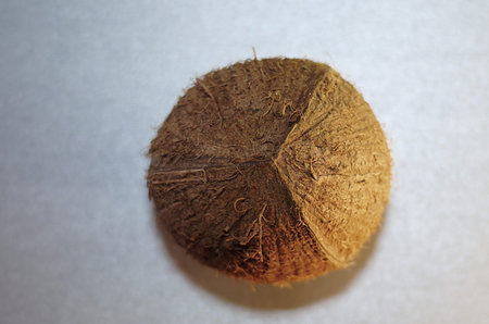 textured tropical coconut on a light background - close-up top view