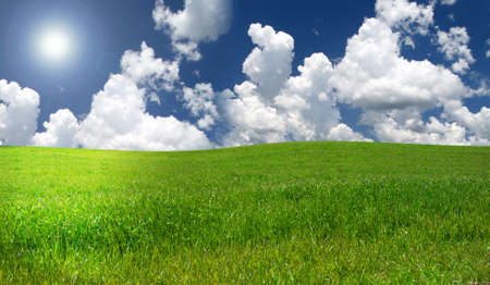 Grass with blue sky and a few cloudsの写真素材