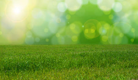 lush grass with abstract backgroundの写真素材