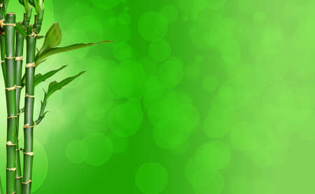 branch of bamboo with green backgroundの写真素材