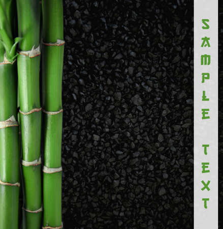 bamboo plants together with abstract background black stoneの写真素材