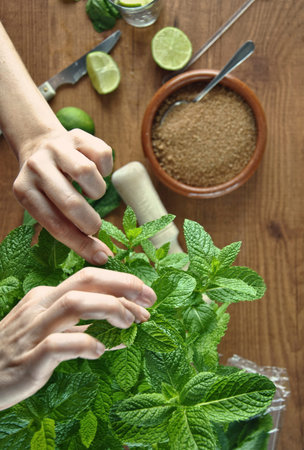 hands preparing mojito cocktail with limes and mintの写真素材