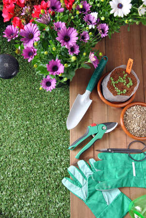 garden tools on grass and wood table with various types of plantsの写真素材
