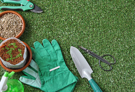 garden tools on grass and wood table with various types of plantsの写真素材