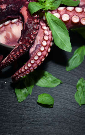 plate full of Octopus with basil leaves ready to be cookedの写真素材