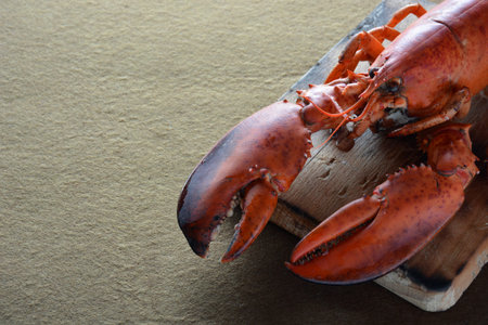 many types of fish on the table. We find lobster, sardines, clams, Octopus, and salmon
