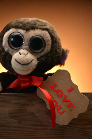 Teddy bear with LOVE wood and a gift for Valentine Day lyricsの写真素材