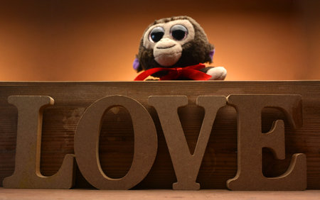 Teddy bear with LOVE wood and a gift for Valentine Day lyricsの写真素材