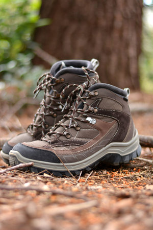 Brown hiking boots in a forest in spring