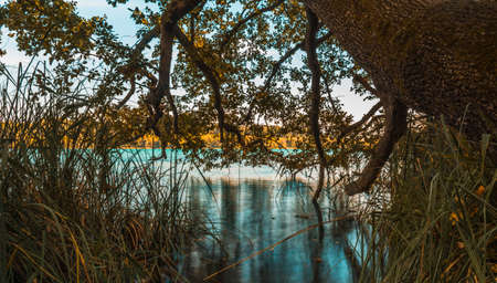 Photograph of the Lake of banyoles in Catalonia, Spain in the fallの写真素材