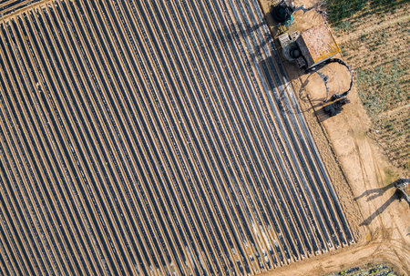 Aerial views of several fields of crops in a spring sunsetの写真素材
