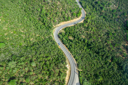 Aerial views of roads with curves in the middle of the forestの写真素材