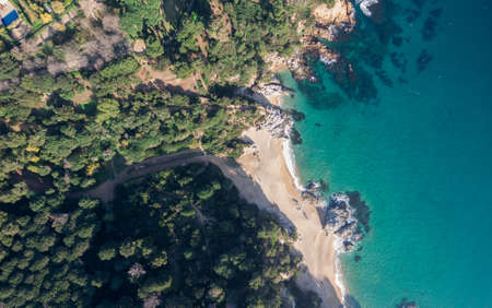 Aerial views of a forest of pine trees next to the sea. That's on the Costa Brava in the Mediterraneanの写真素材