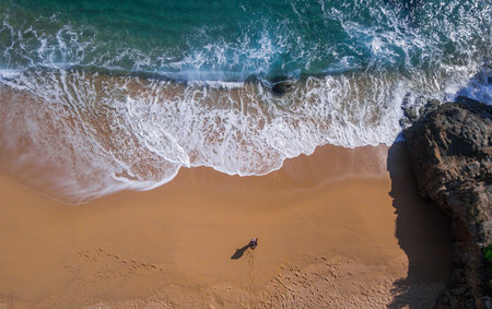 Aerial view of a paradisiacal beach with waves large on a sunny dayの写真素材