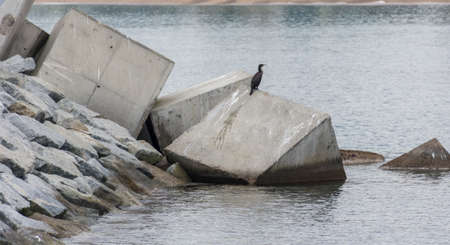 Photograph of a fishing port on a cloudy day. The port is located in Blanes, Spainの写真素材