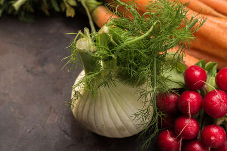 Fresh fennel with radishes and carrots ecological. Vegetables fresh and perfect for vegansの写真素材