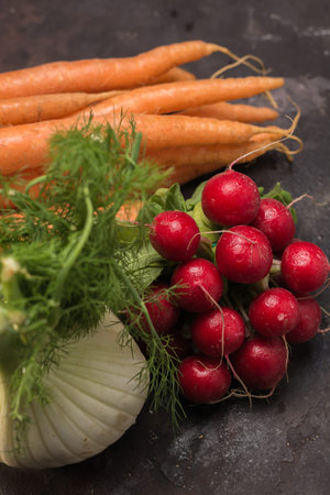 Fresh fennel with radishes and carrots ecological. Vegetables fresh and perfect for vegansの写真素材