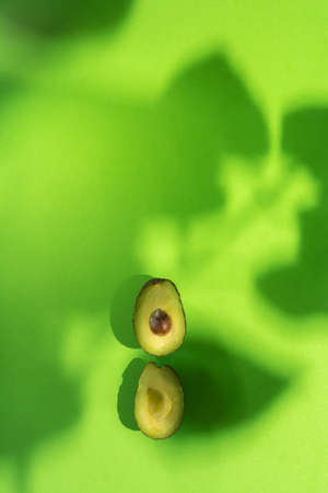 Fresh avocado on a green background accompanied by leaves and shadows of the plants.の写真素材